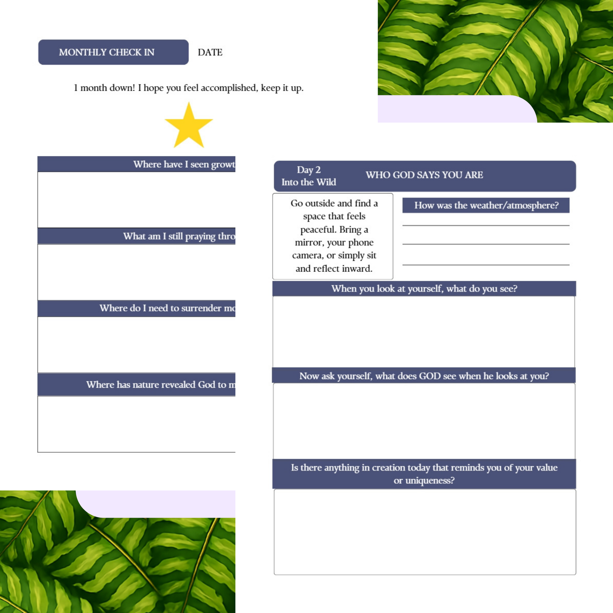 The Word & The Wild- A 13-Week Guided Journal [Navy-Digital File]