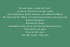 The Word & The Wild- A 13-Week Guided Journal [Green-Digital File]